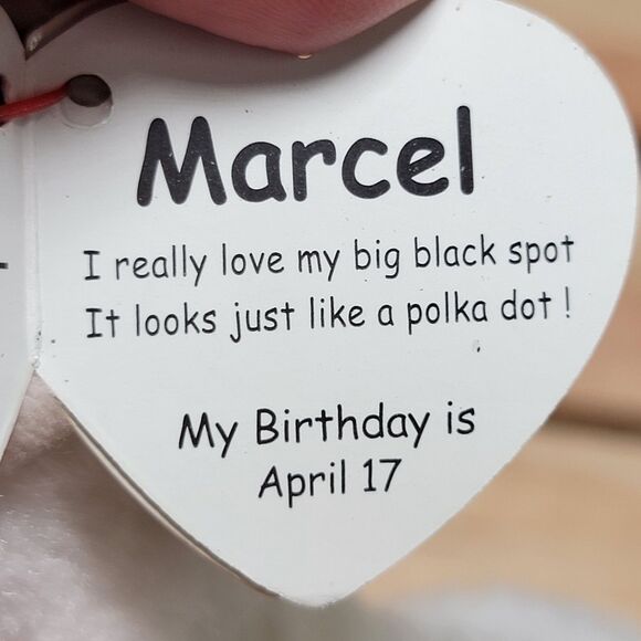 TY Beanie Babies "Marcel" 6"  Plush Puppy w/ Tags - Picture 7 of 8